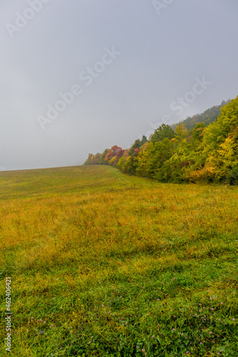 Herbstliche Entdeckungstour entlang der prachtvollen H  rselberge bei Eisenach - Th  ringen