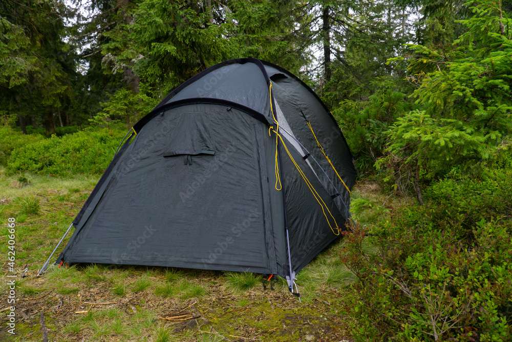 tourist tent in a clearing in the forest.
dark green tourist tent