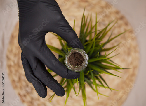 Beautician hands in gloves is pouring henna powder into glass for eyebrows coloring.