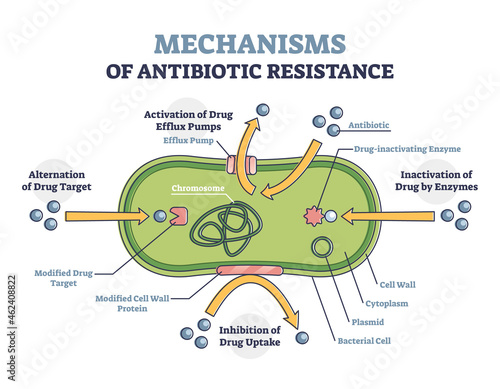 Mechanisms of antibiotic resistance outline diagram, illustrated example. Alternation of drug target, activation of drug efflux pumps, inhibition of drug uptake and inactivation of drug by enzymes. photo