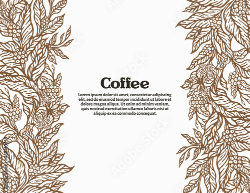 coffee border. Coffee plantation, raw beans on white background.