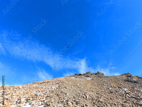 An Andean condor flies over the top of Piltriquitron hill near the Argentine town of El Bolson photo