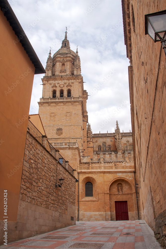 Catedral de la Asunción de la Virgen en la ciudad de Salamanca, España