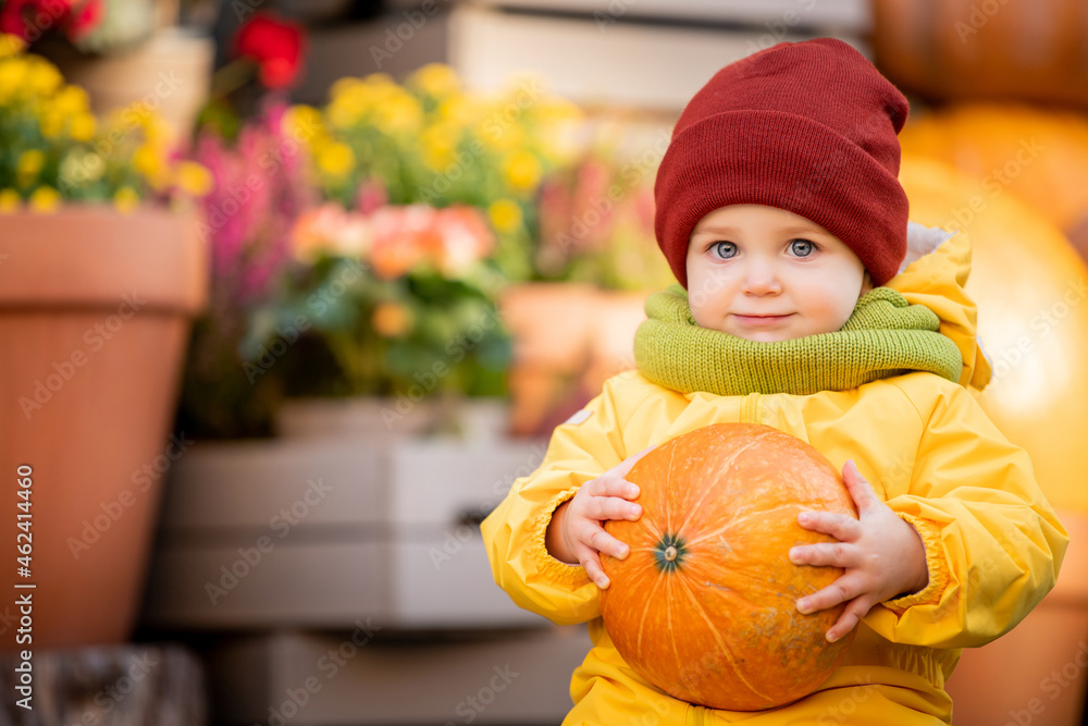 Portrait of smiling kid in bright yellow overalls with an orange pumpkin in his hands at autumn fair. Stock Photo Adobe Stock