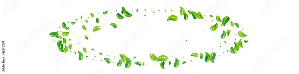 Lime Greens Blur Vector Panoramic White