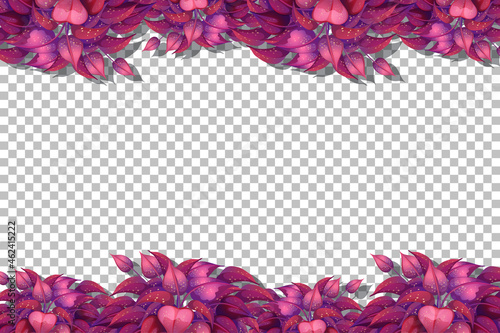 Nature plants frame transparent background
