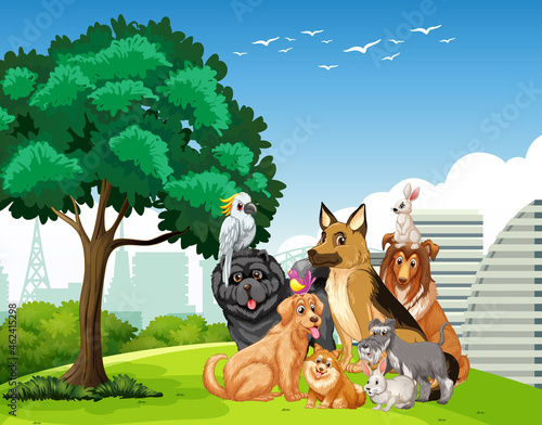 Group of pet in the park scene