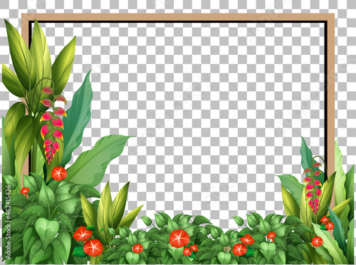 Green nature leaves frame transparent background
