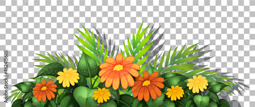 Flower bush with leaves on transparent background