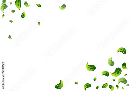 Olive Greens Falling Vector White Background