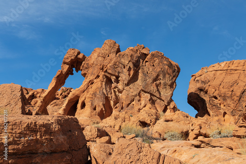 Elephant Rock at Valley of Fire State Park, Nevada, USA
