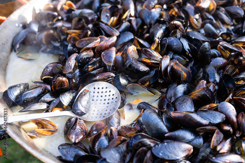 Fototapeta Naklejka Na Ścianę i Meble -  Boiled mussels in copper cooking dish on dark wooden background close up