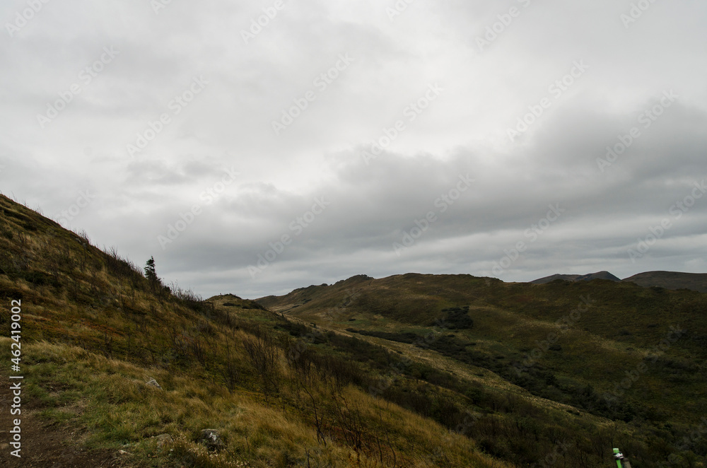Z Bukowego Berda - Bieszczady Z Bukowego Berda - Bieszczady