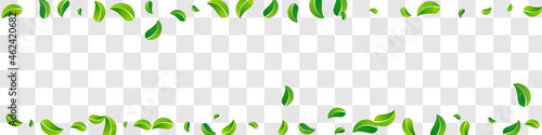 Olive Greens Spring Vector Panoramic Transparent