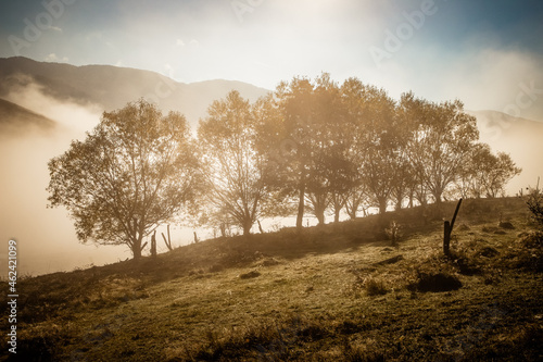 beautiful foggy autumn morning landscape in rural Transylvania