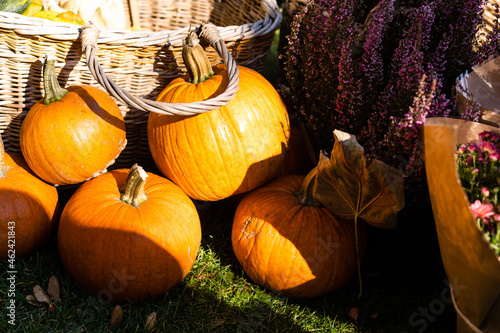 Halloween decorations with pumpkin and other decor objects photo