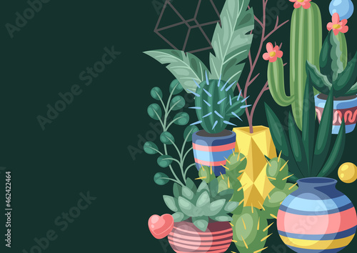 Background with cactuses and succulents. Decorative spiky flowering cacti and plants in flowerpots.