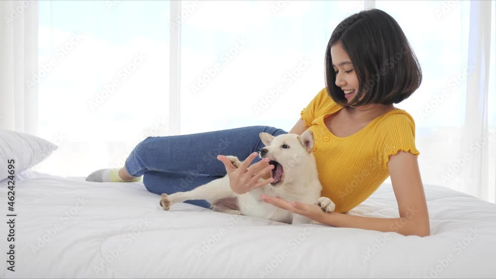 Happy young Asian woman playing with a dog having fun in white bedroom. Happy young Asian woman playing with a dog having fun in white bedroom.