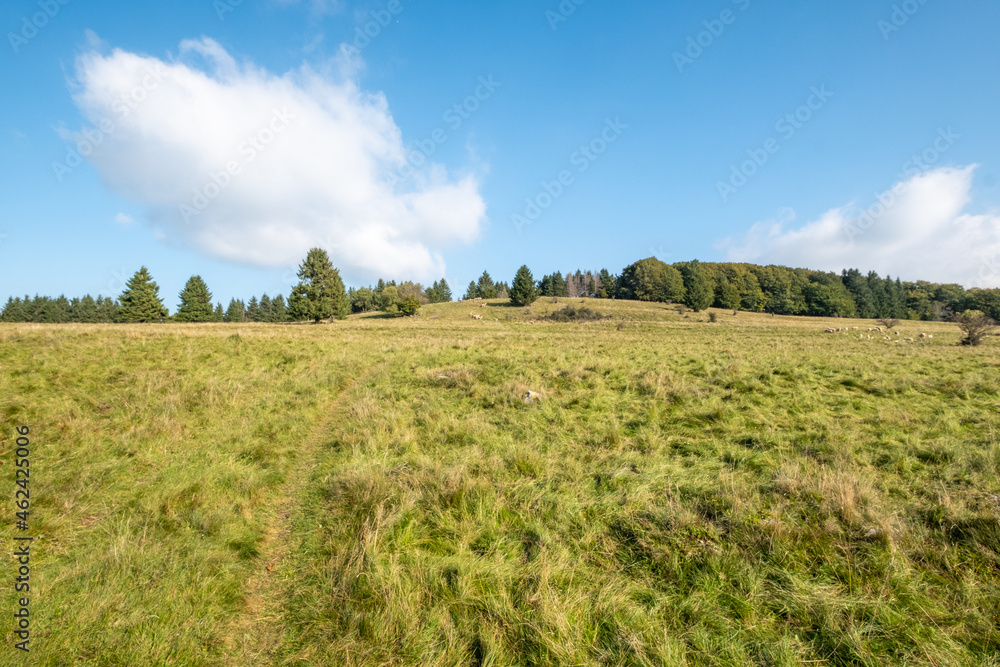 Blick zum Arnsberg in der bayerischen Rhön bei Bischofsheim Blick zum Arnsberg in der bayerischen Rhön bei Bischofsheim