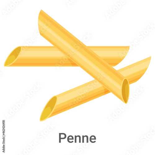 Penne.Pasta, pasta made of durum flour isolated on a white background.Vector image of dough products.For labels, menus and posters.