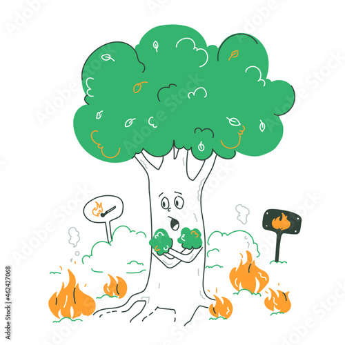 Forest Fires