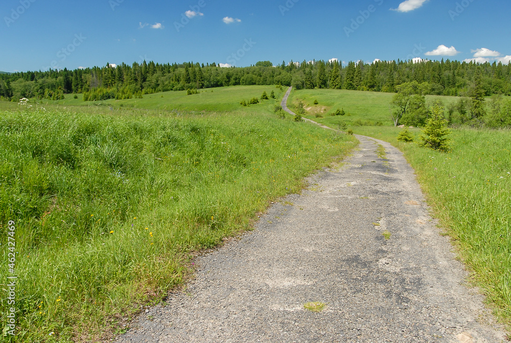 Asphalt road among meadows and forests, Bieszczady Mountains, Poland Asphalt road among meadows and forests, Bieszczady Mountains, Poland