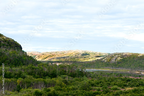 Summer, mountain landscape. Hills covered with reindeer lichen. Musta-Tunturi pass, Russia, Sredny peninsula
