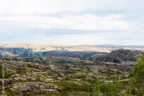 Summer, mountain landscape. Hills covered with reindeer lichen. Musta-Tunturi pass, Russia, Sredny peninsula