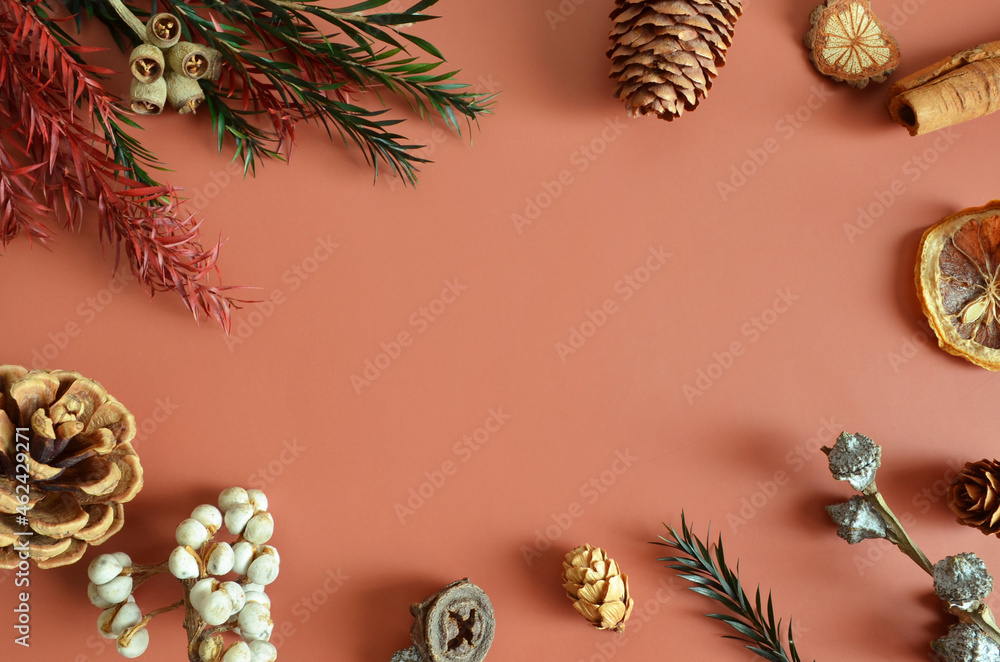 Empty Cover design with pine cones and dried fruit in the natural concept. Empty Cover design with pine cones and dried fruit in the natural concept.