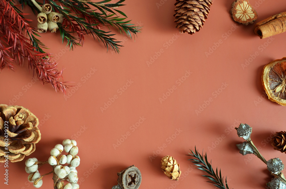 Empty Cover design with pine cones and dried fruit in the natural concept.