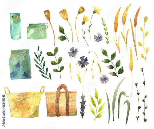 Watercolor set of hand painted wildflowers and dried flowers, wheat spike, flax flowers, woven baskets and leaves, for cards, invitations and your design