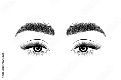 Women's eye with fashionable eyebrows and eyelashes illustration. Lash master and brow master logo for beauty salon