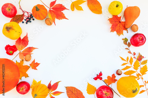 Fototapeta Naklejka Na Ścianę i Meble -  Autumn decor on a white background.