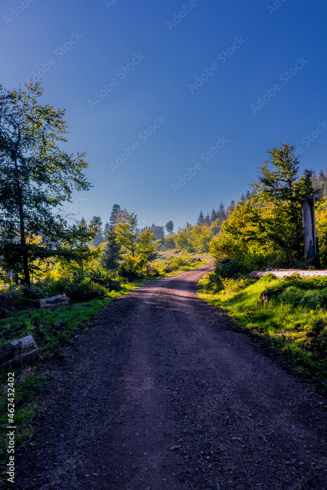 Fototapeta premium Herbstliches Ambiente auf den Höhen des Thüringer Waldes bei Ruhla - Thüringen