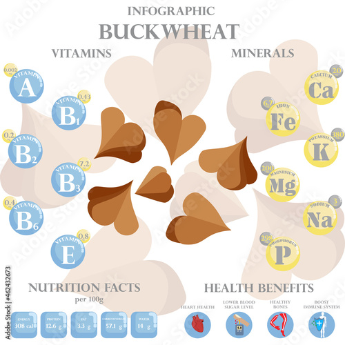 Fototapeta Naklejka Na Ścianę i Meble -  Buckwheat nutrition facts and health benefits infographic