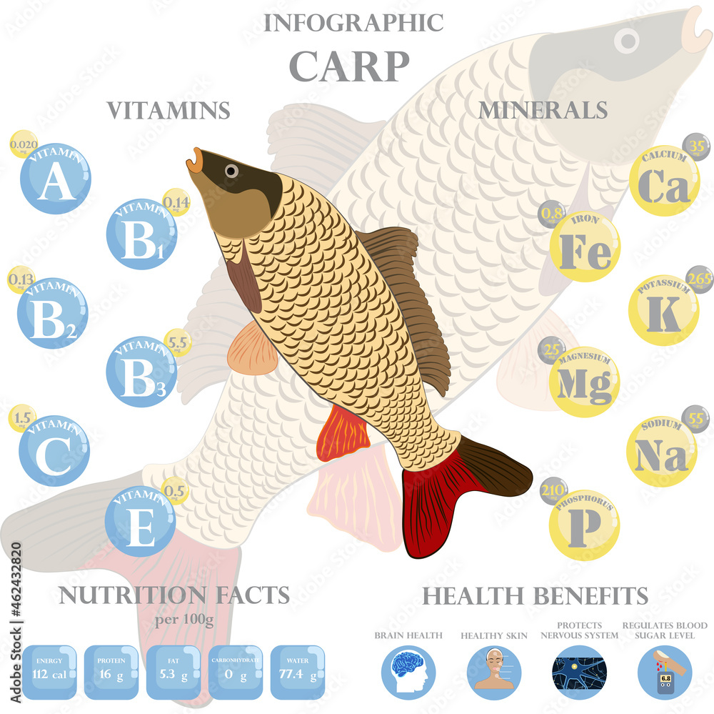Carp nutrition facts and health benefits infographic