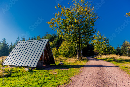 Herbstliches Ambiente auf den Höhen des Thüringer Waldes bei Ruhla - Thüringen photo