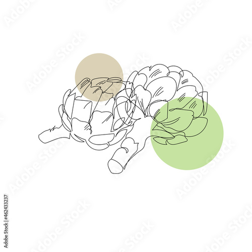 Line art vector icon with continuous line of artichokes on white background. Vector illustration design. Cook. White background. Organic food. Linear style. Healthy diet.