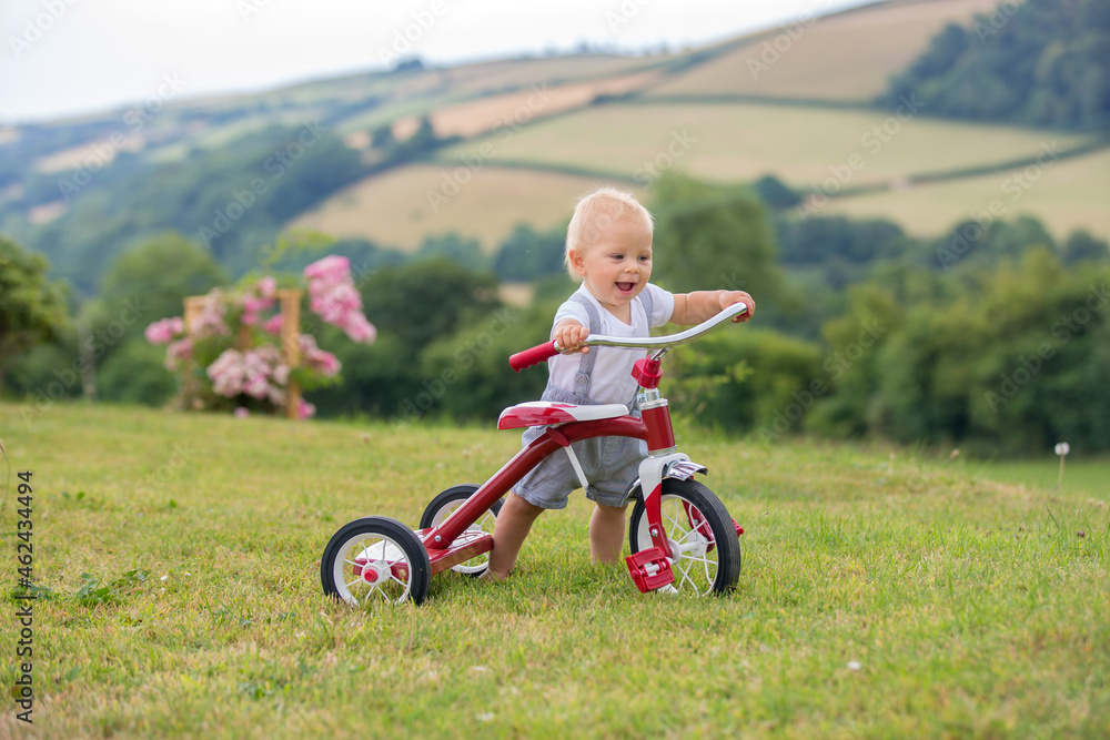 Cute toddler child, boy, playing with tricycle in backyard Cute toddler child, boy, playing with tricycle in backyard