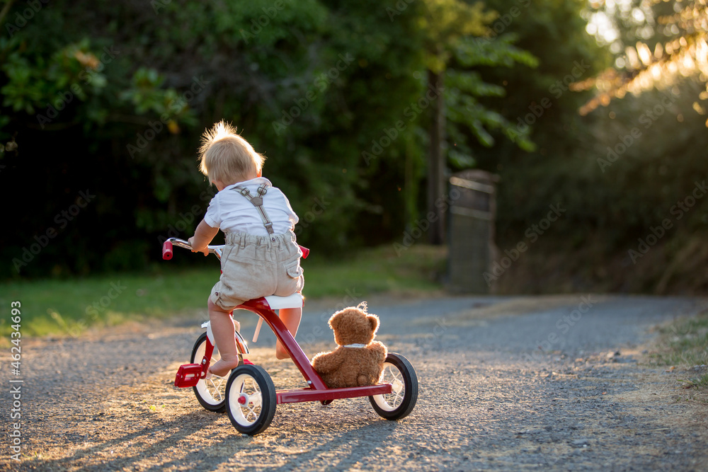 Cute toddler child, boy, playing with tricycle in backyard on sunset Cute toddler child, boy, playing with tricycle in backyard on sunset