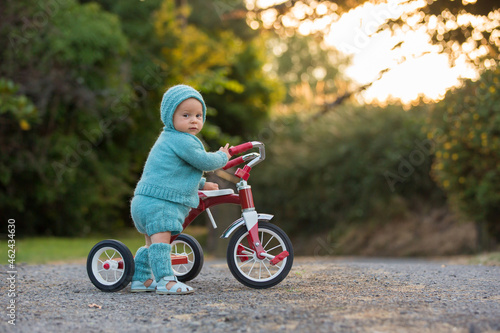 Fototapeta Naklejka Na Ścianę i Meble -  Cute toddler child, boy, playing with tricycle in backyard on sunset