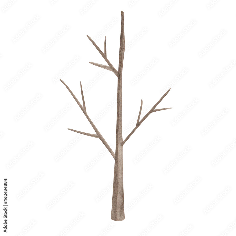 Watercolor illustration hand painted brown trunk of tree without leaves with twigs and branches isolated on white. Winter, spring forest clip art element for design postcards, packaging paper, fabric Watercolor illustration hand painted brown trunk of tree without leaves with twigs and branches isolated on white. Winter, spring forest clip art element for design postcards, packaging paper, fabric