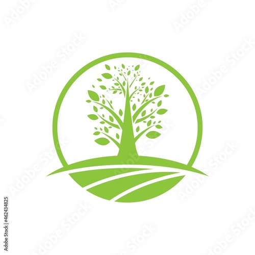 Tree leaf vector logo design