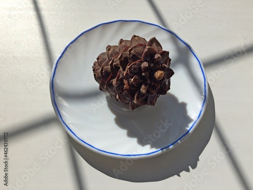 Pine nuts on a white plate.