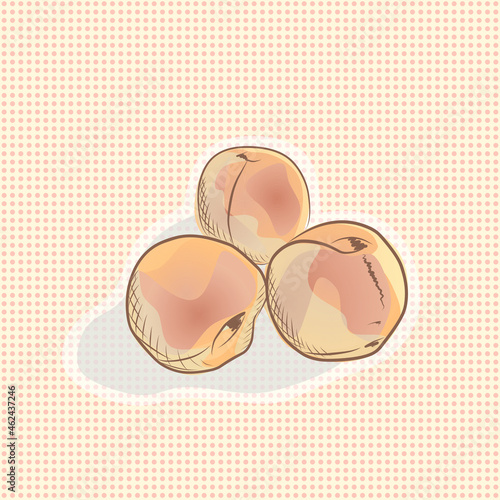 Vector illustration with peaches sketch. Hand drawn picture