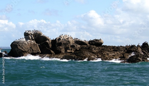 archipel des îles Chausey au large de Granville dans la Manche photo