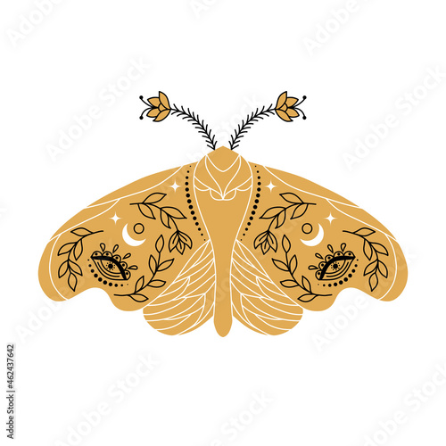 Moth in line art style