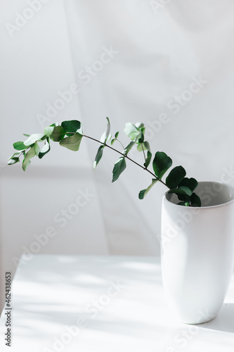 Nordic white minimalism flower design with a vase