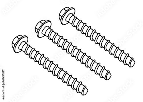 Construction screws. Vector image.