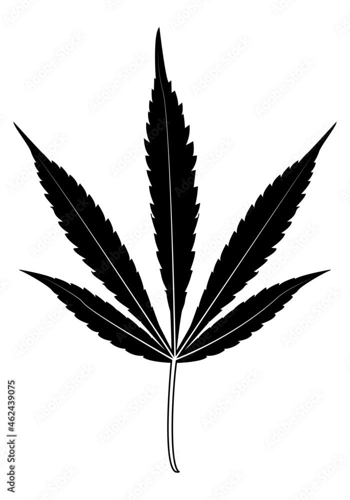 Cannabis. Icono blanco y negro de la planta del cannabis sobre fondo blanco Cannabis. Icono blanco y negro de la planta del cannabis sobre fondo blanco